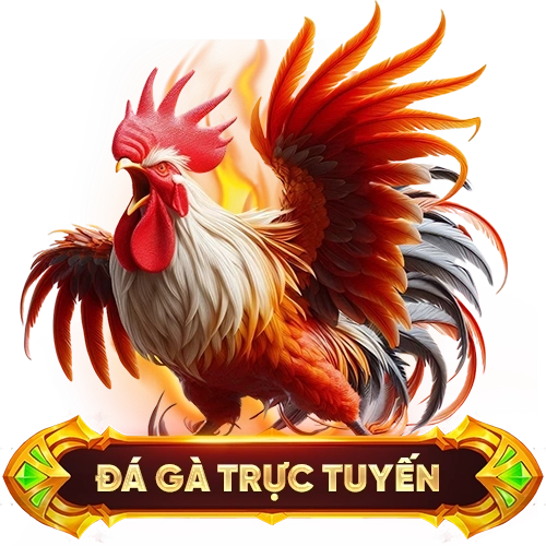đá gà trực tuyến LIXI88